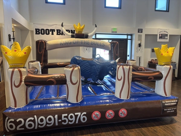 Party Mechanical Bull Rental