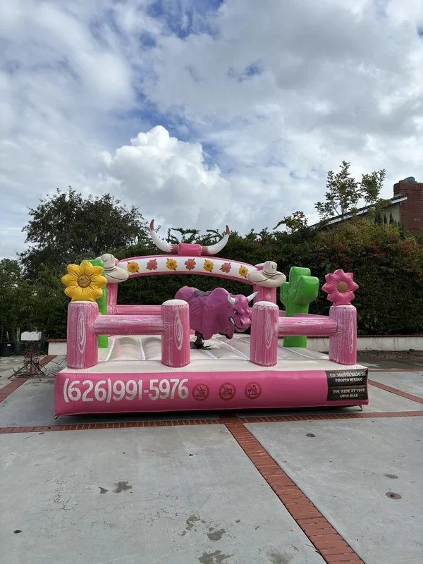Party Mechanical Bull Rental