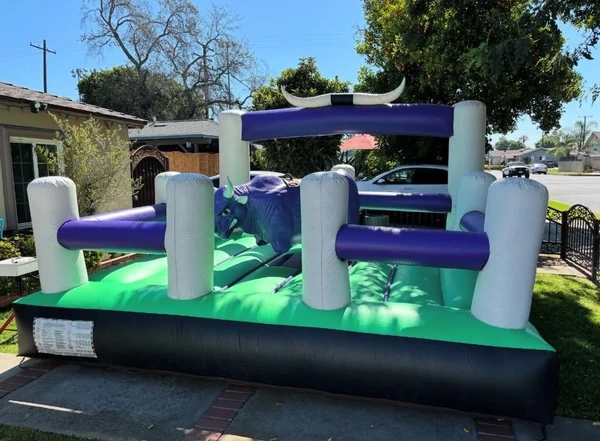 Party Mechanical Bull Rental